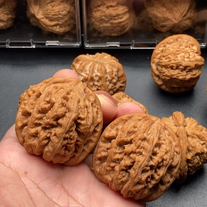 核桃44尺寸全品原装粗筋