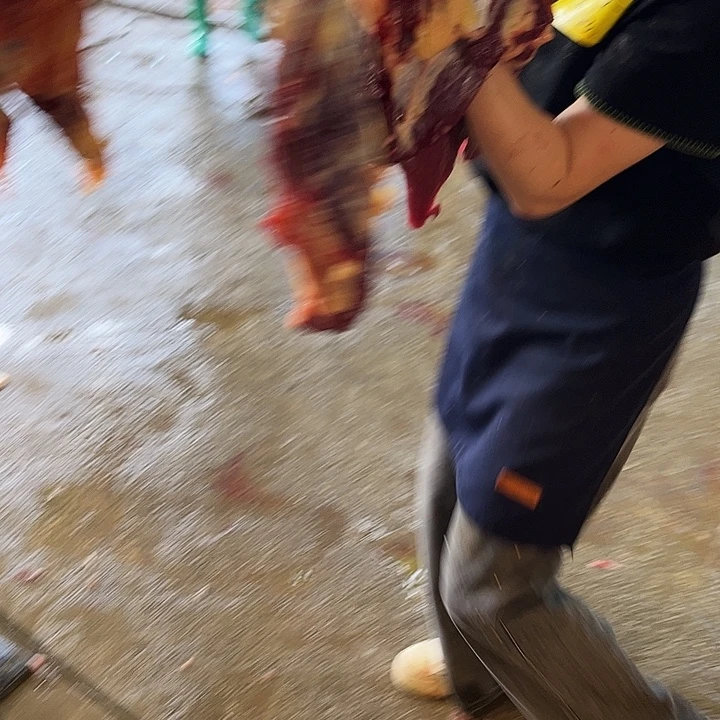 张***.18中国大陆散装传播开来