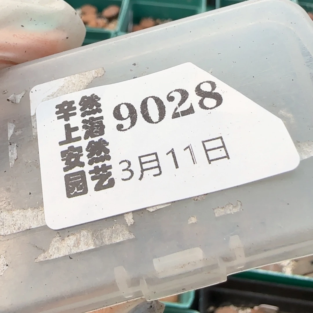 冒****水3.11，日烧3，9028