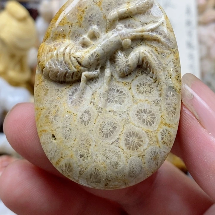 颈饰未镶嵌硅化珊瑚（珊瑚玉）有瑕