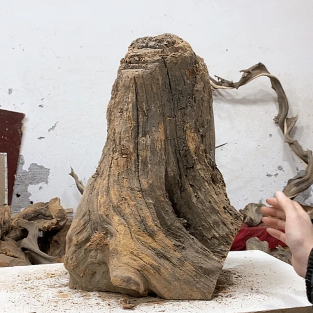 【闪购商品】柏木锦*阁我们都是好孩子