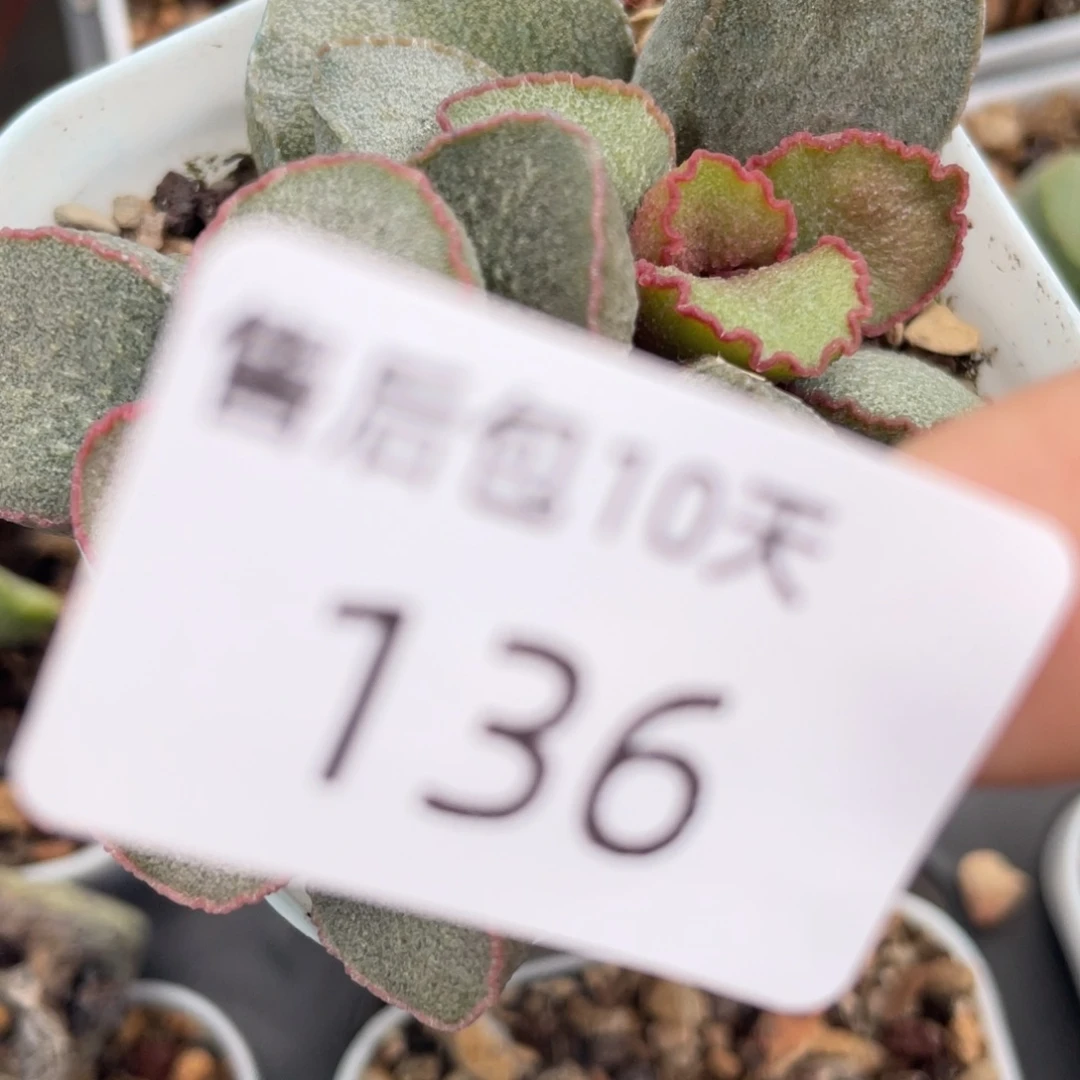 福利。    福利。