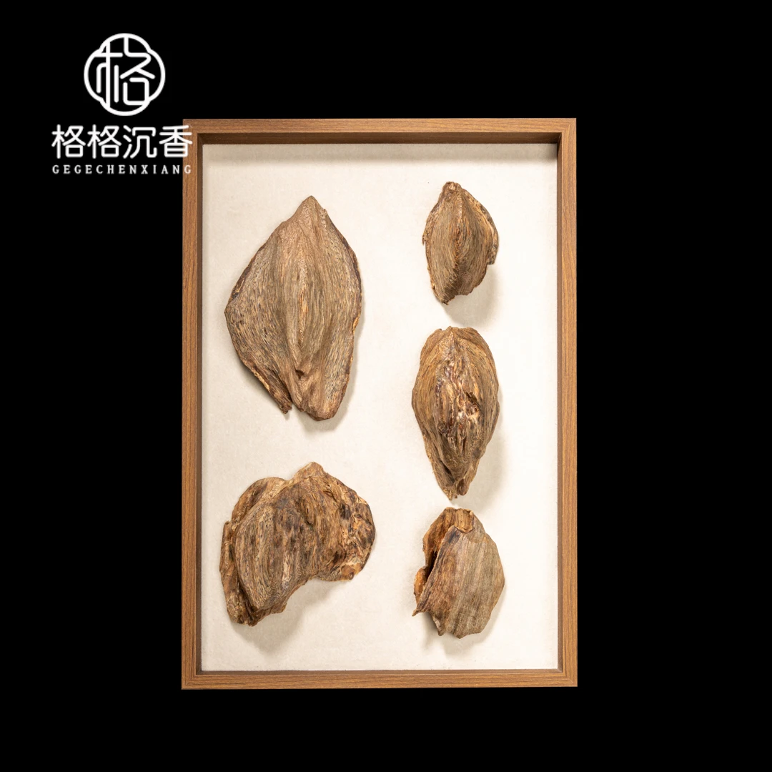 【11周年庆沉香金字塔尖】虎斑棋原料19014430合集 香道燃香