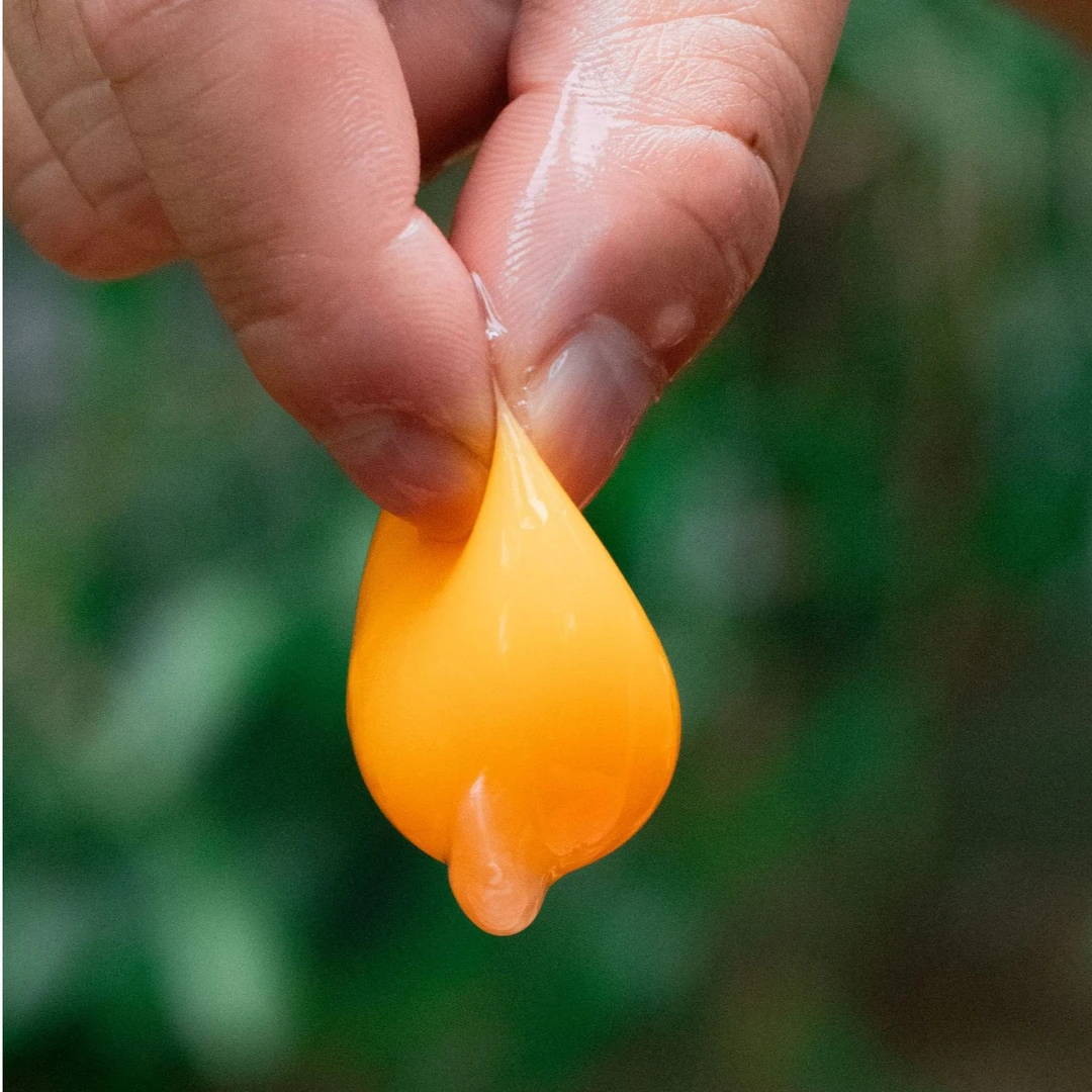 【芬姐专属】30枚清远鸡土鸡蛋当天现捡现发 饮山泉吃五谷 清远发货