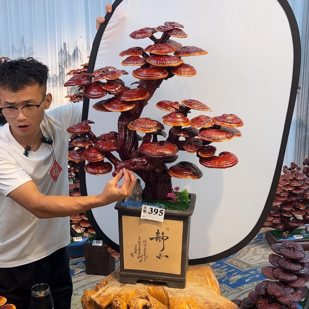 无花朵888888888888