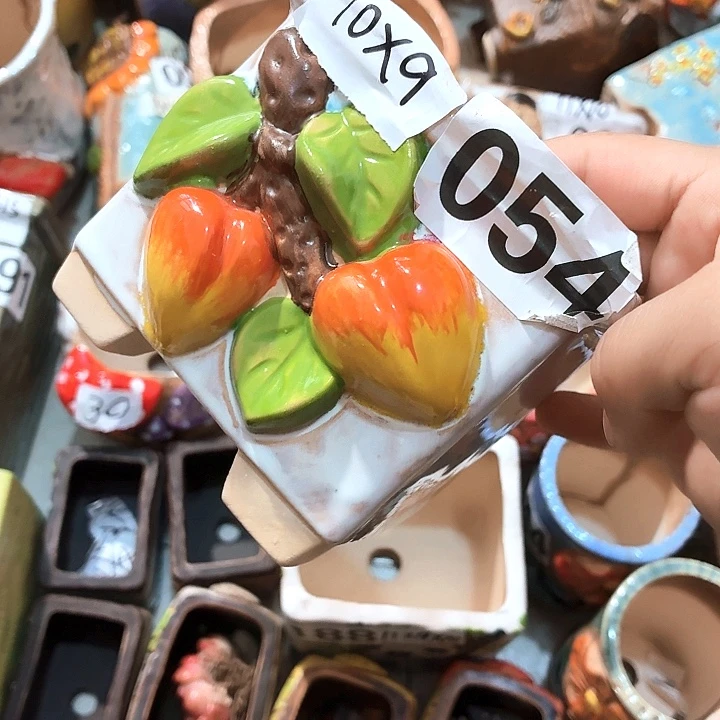 多肉花盆满15包邮