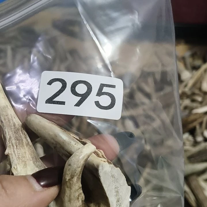 用***4鹿角鹿角鹿角鹿角鹿角鹿角