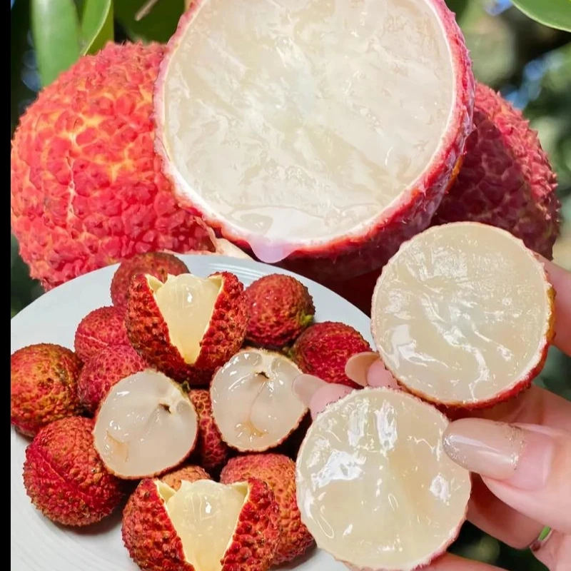 无核荔枝净重2.5斤左右荔枝同城送海南省