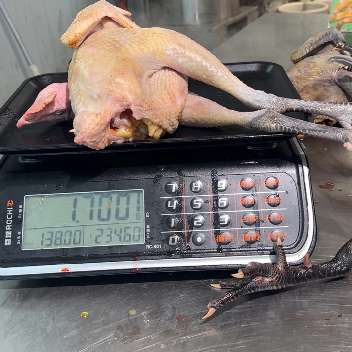 一号母鸡食用农产品中国大陆丰*
