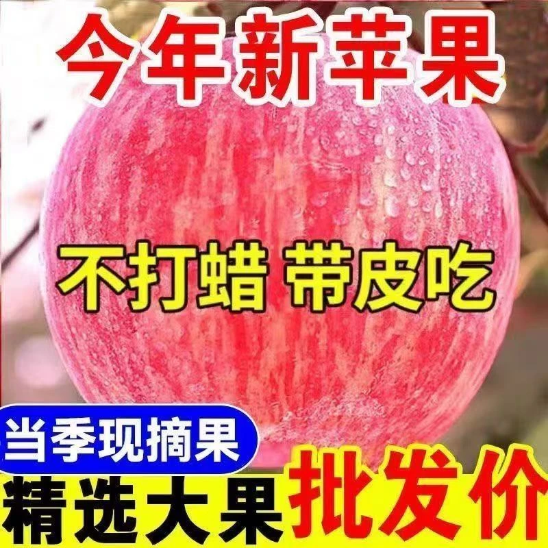 红富士苹果新鲜当季脆甜多汁爽口冰糖心水果