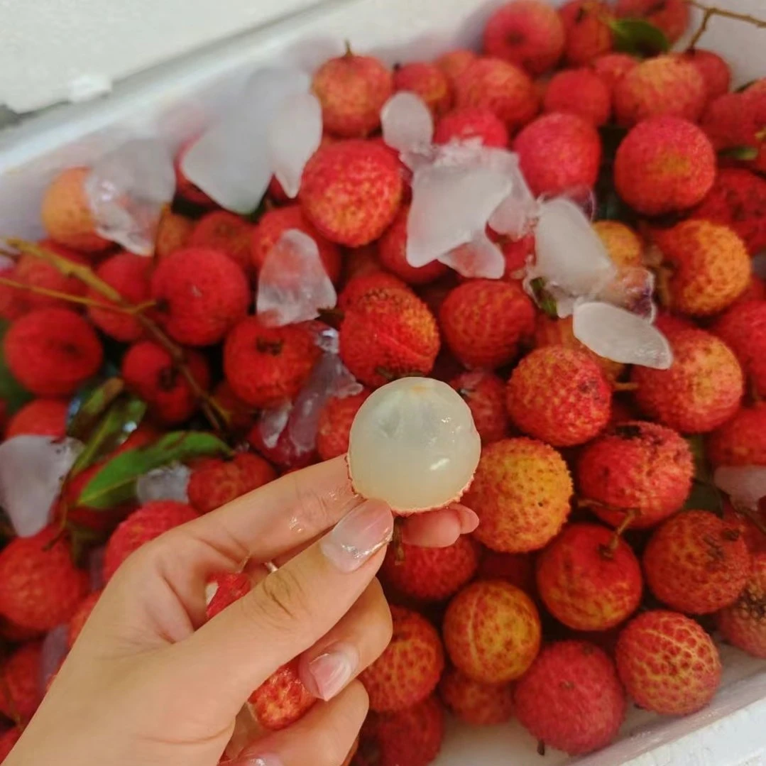 桂味荔枝2斤，核小肉厚