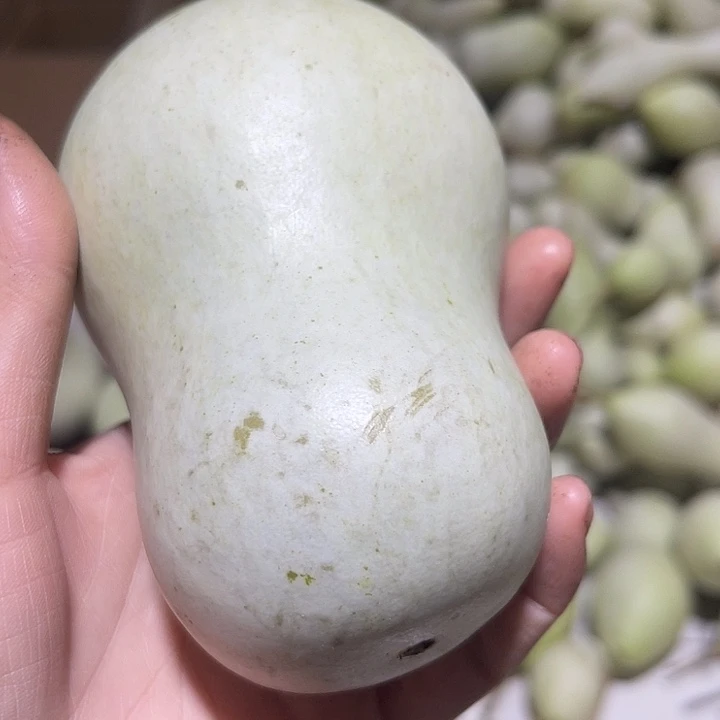 非洲紫檀（红花梨）古**人