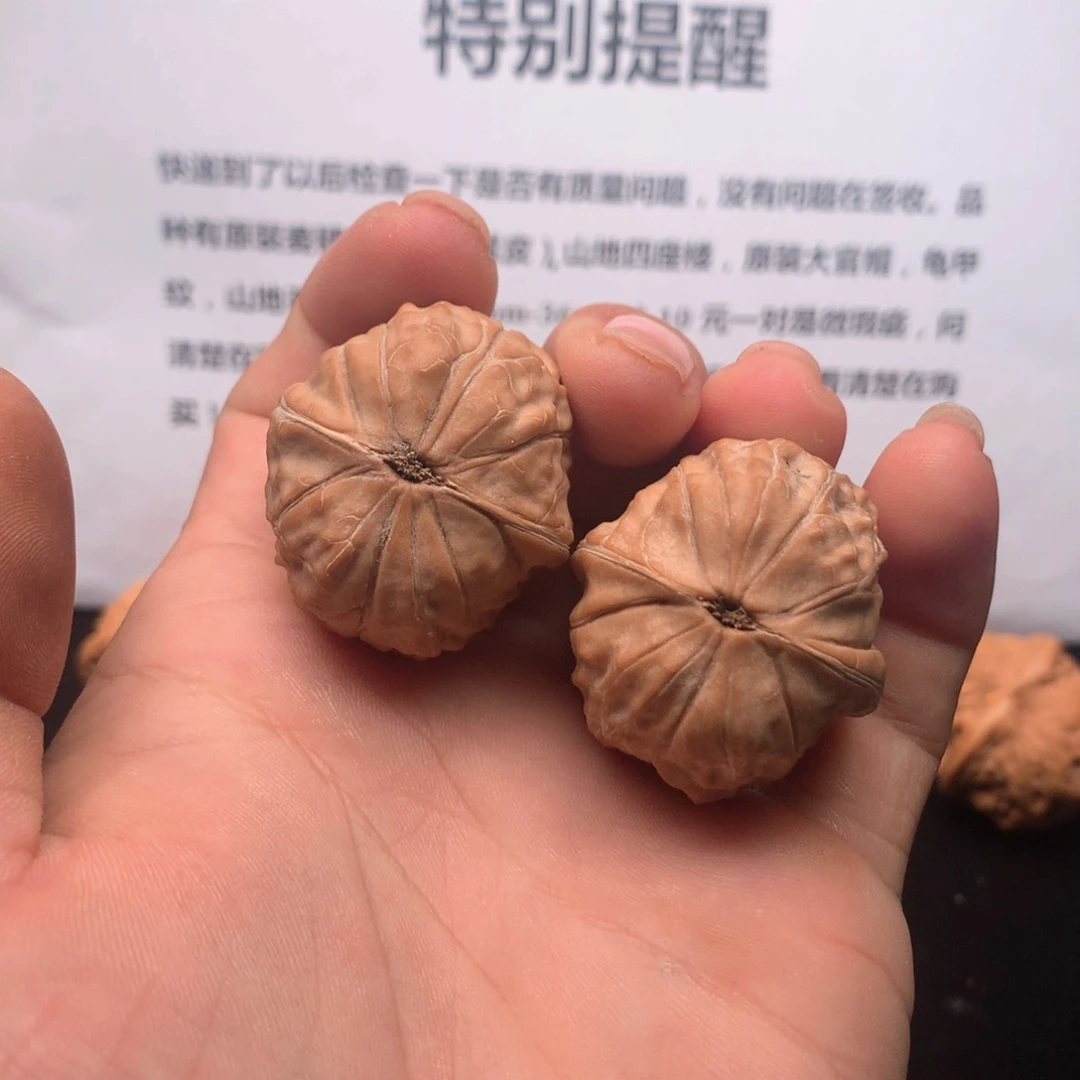 用***5把件文玩核桃龟甲纹