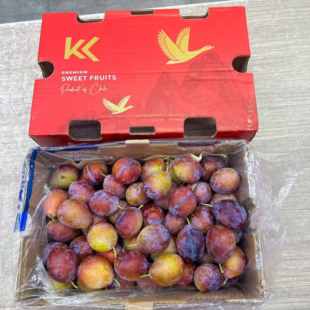 西梅 五斤装 发一盒