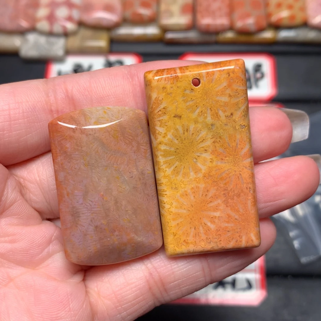 【闪购商品】未镶嵌颈饰硅化玉c****g