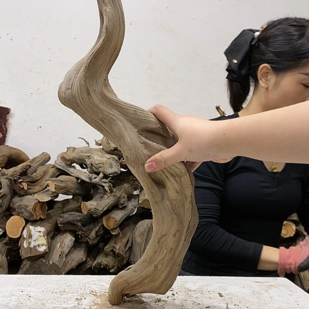 【闪购商品】柏木柏**材我们都是好孩子