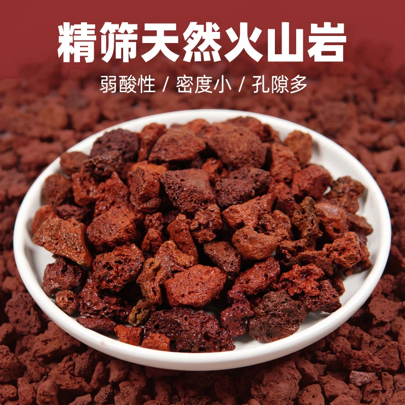 天然火山石红火山岩黑火山石造景多肉兰花石专用营养土铺面