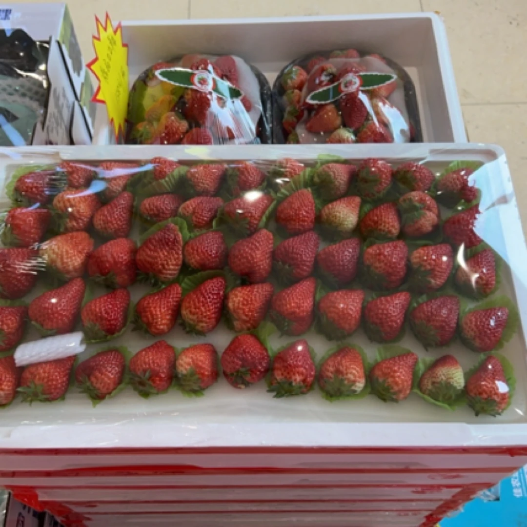 九九丹东草莓 大板