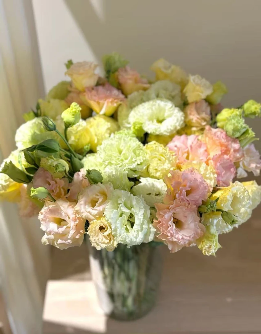 【混色洋桔梗】全场鲜花任意两单及以上包邮