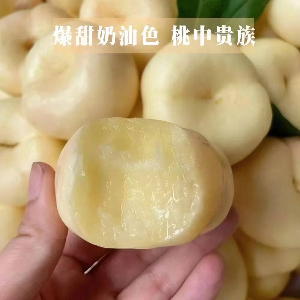 【奶油蟠桃顺丰】山东蒙阴奶油蟠桃现摘现发老人孩子孕妇水果现货