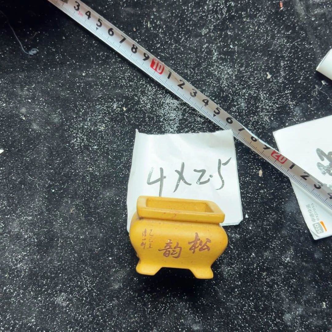 wwwwwwww娥娥薇薇