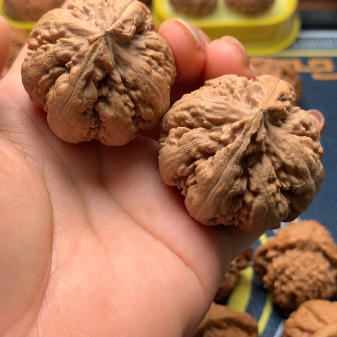 【闪购商品】文玩核桃把件听*霸王龙41