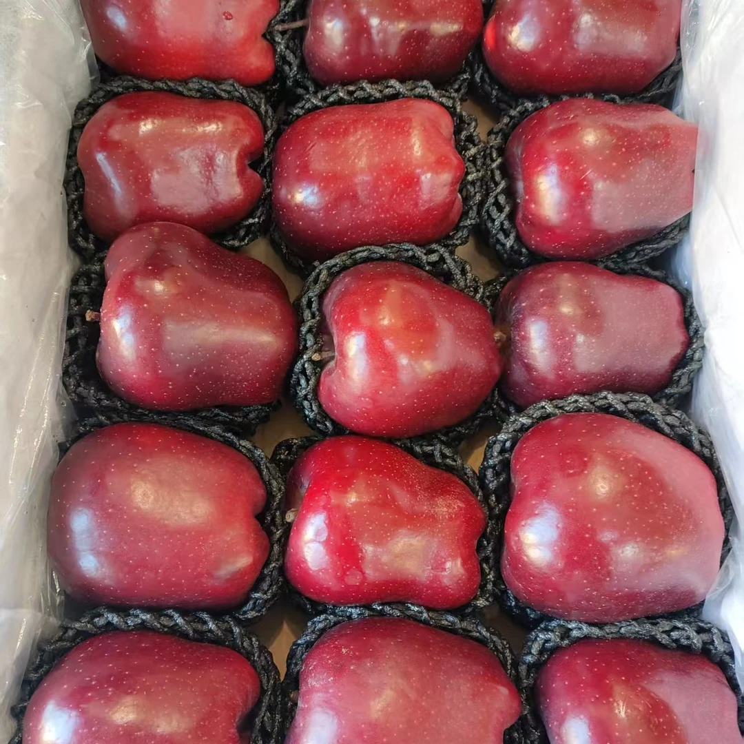 香甜蛇果（苹果）二斤甘肃省