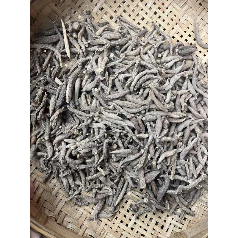 云南下山货 童子参