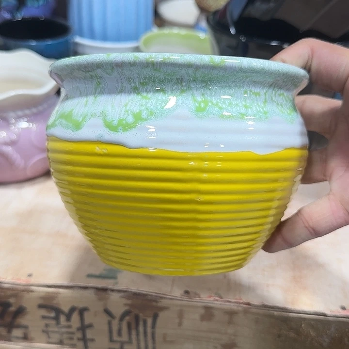 全部花盆福利处理···满10包邮