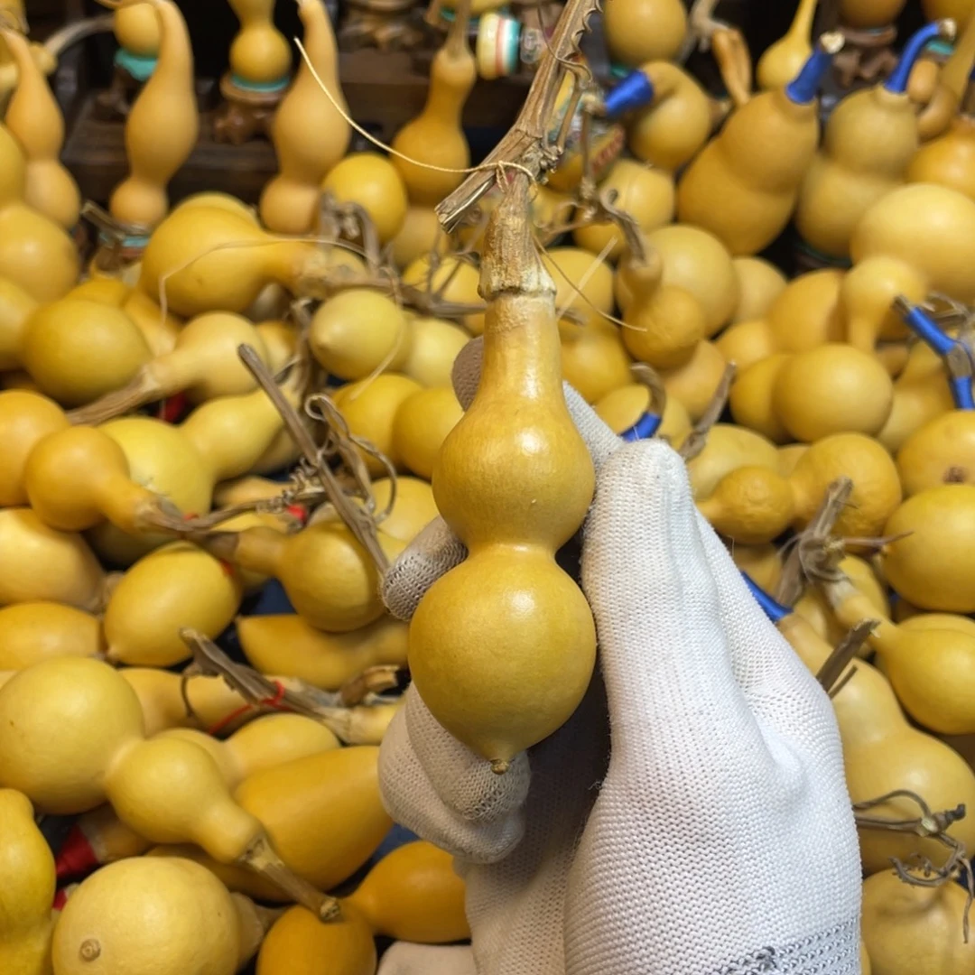 三***庄大叶紫檀（黑酸枝木类）