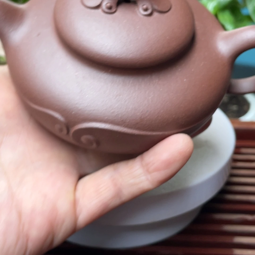 浩***琪茶壶紫砂如云一个