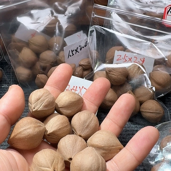 吊坠橄榄核八***五2.4❌2.8