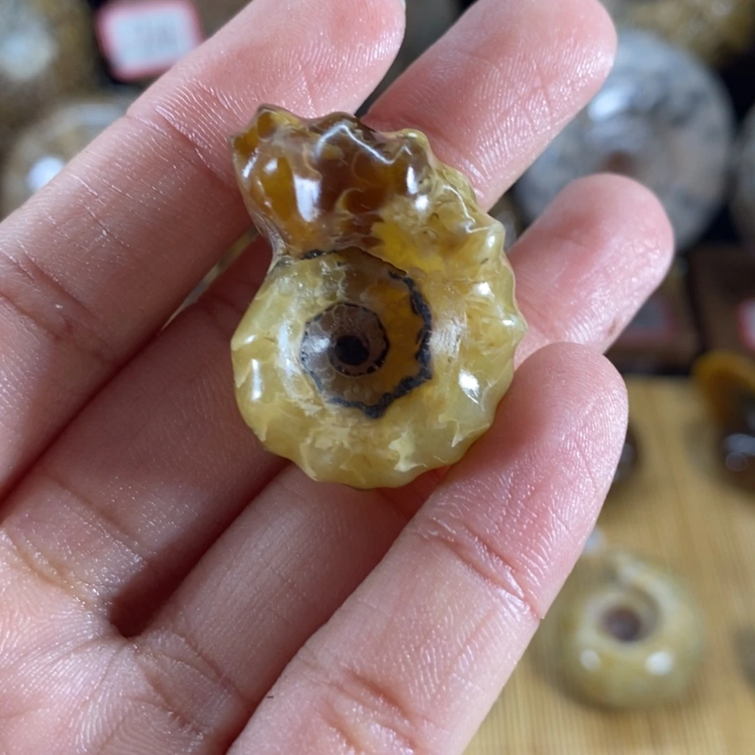 明***起大理石磁石羊角小配件