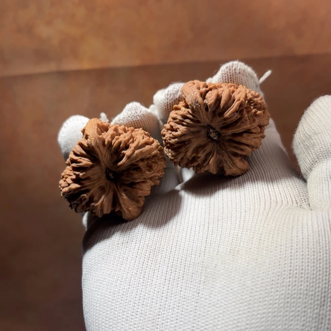 文玩核桃吊坠16号链接40全家福