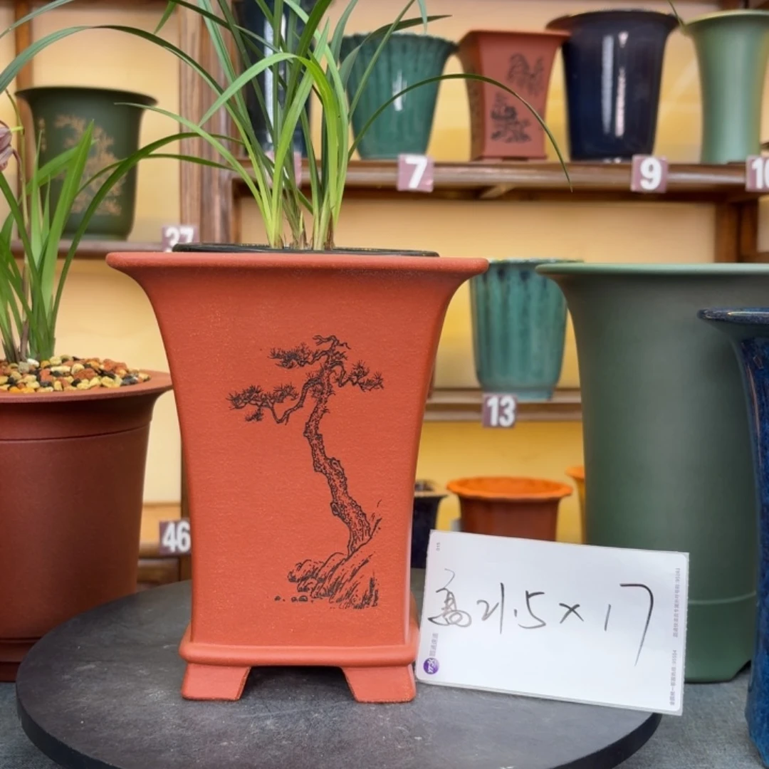 紫砂花盆兰花55666985522666