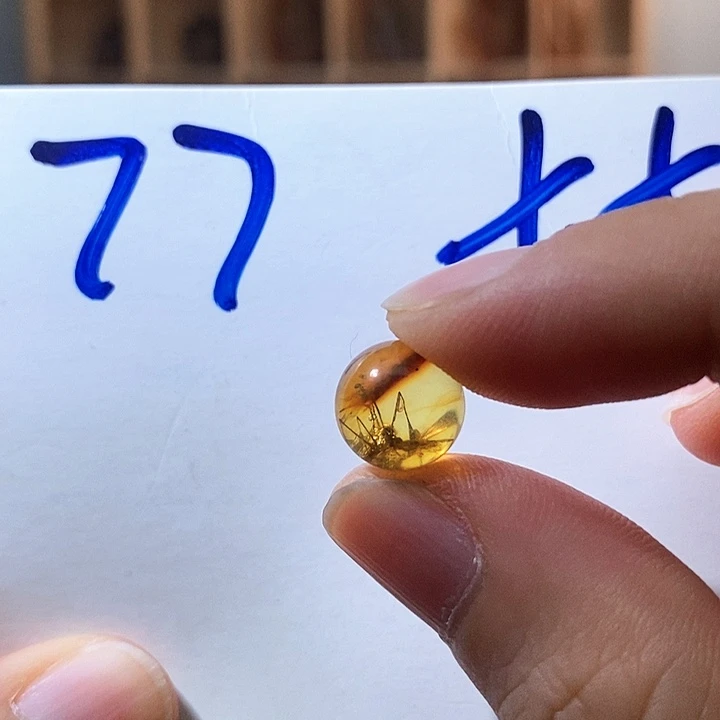 未镶嵌颈饰琥珀琥珀虫珠