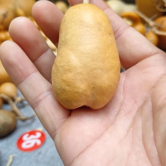 肆***月葫芦娃娃娃娃娃娃娃娃娃