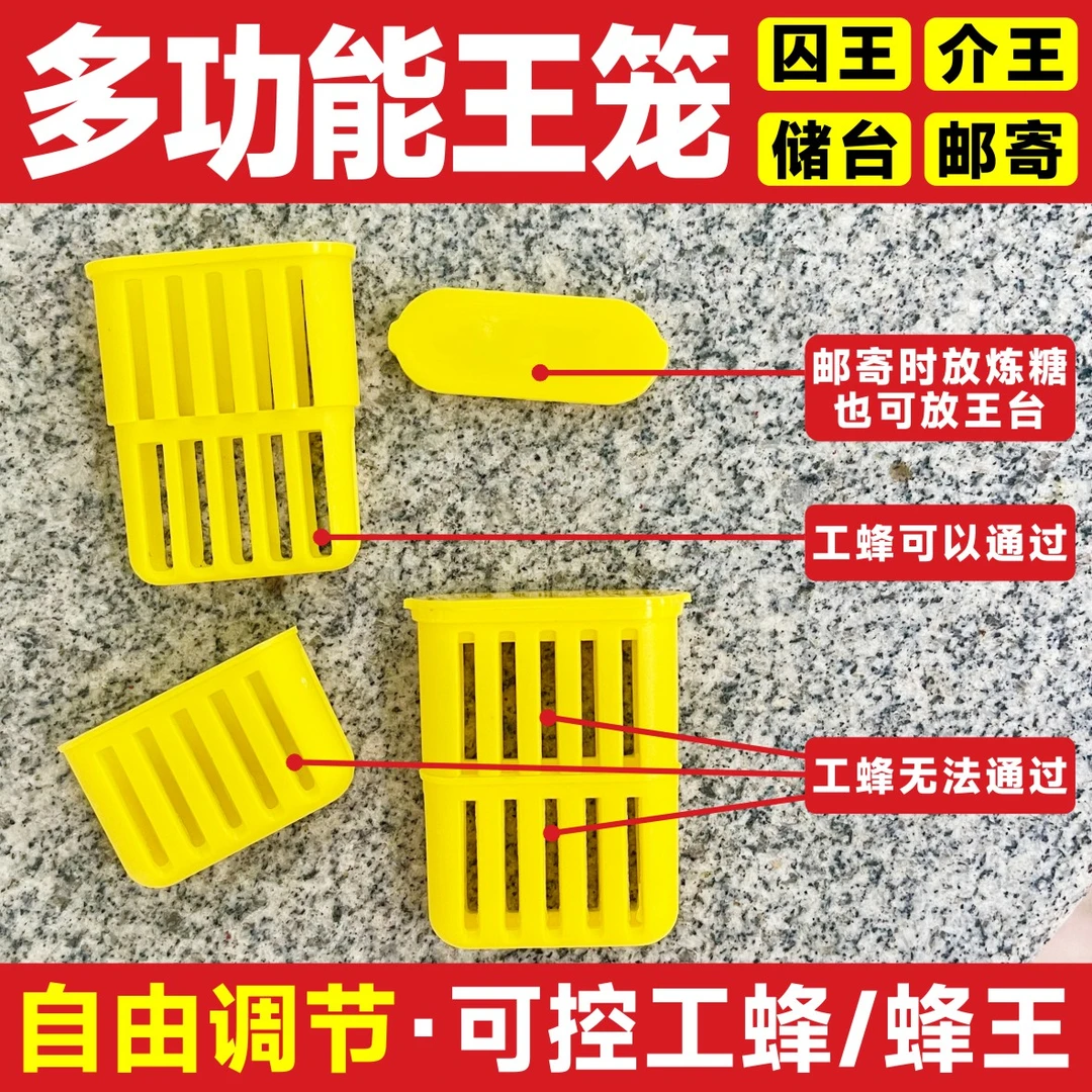 储存蜂王邮寄王笼多功能中蜂囚王笼可放王台育王储台器介王用王笼