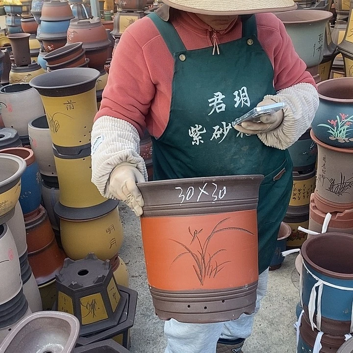 紫砂花盆盆栽花卉苗木种植