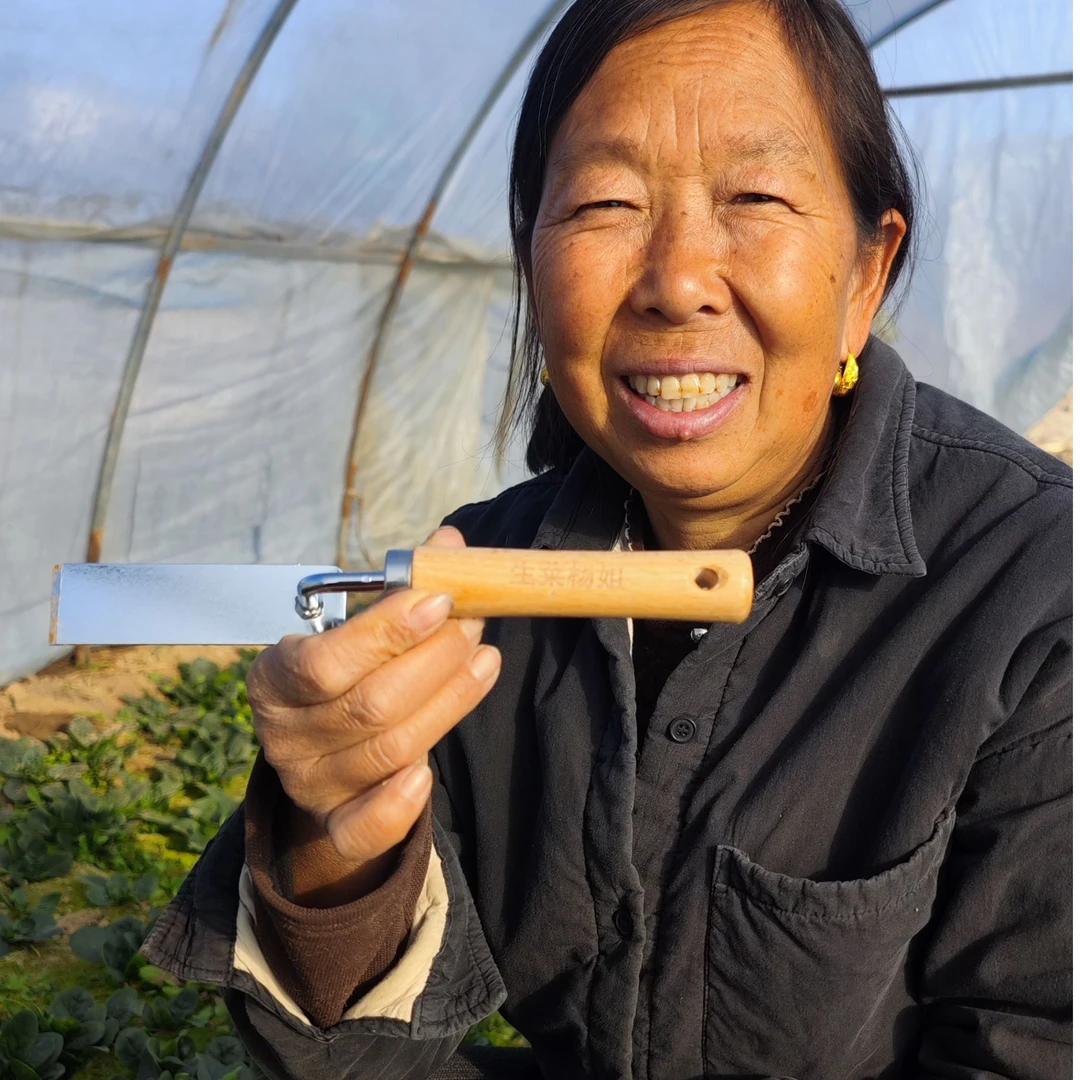 杨姐自用挖菜小铲种菜除草挖土菜园花园园艺园林用品