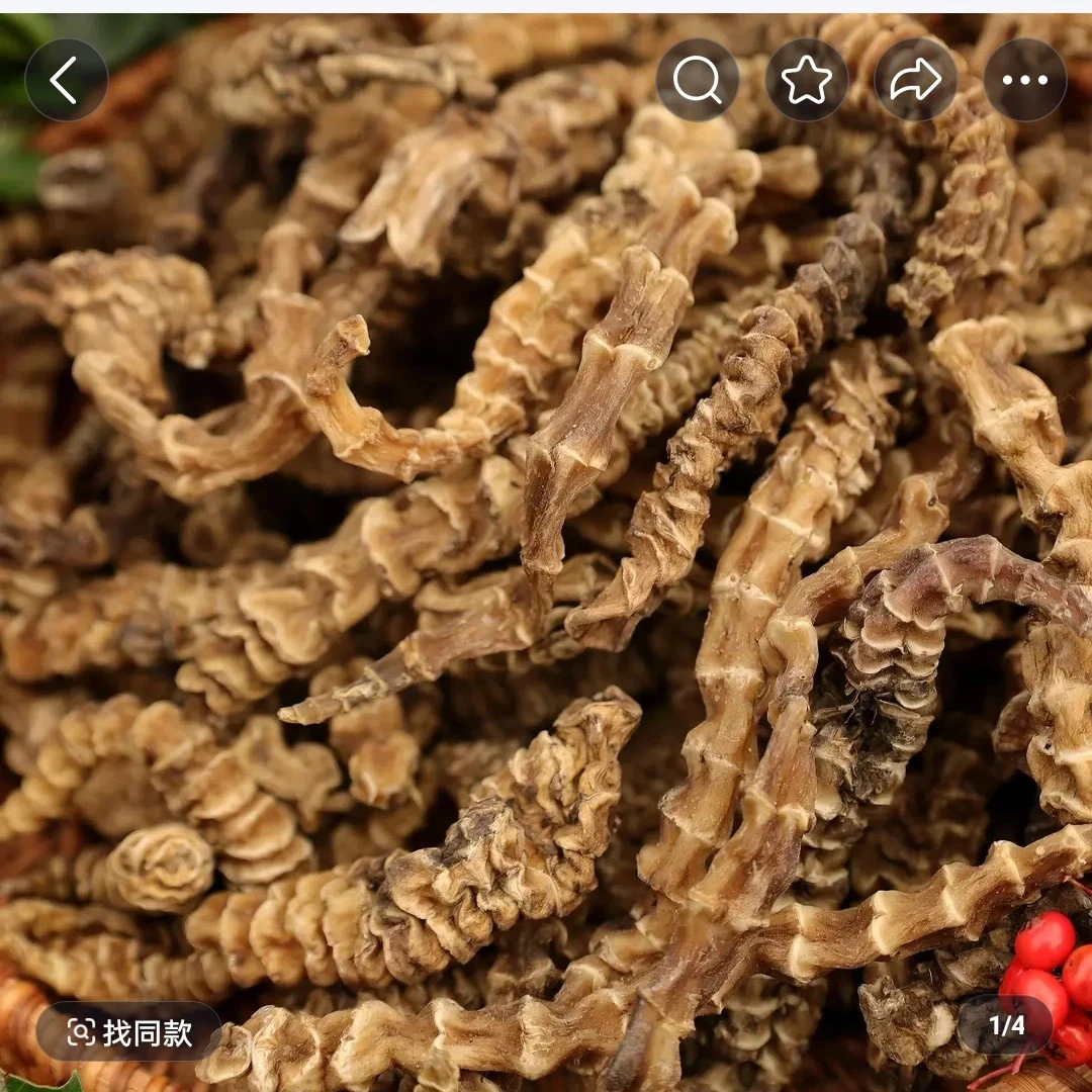 定亮收山货～地龙深非香菇