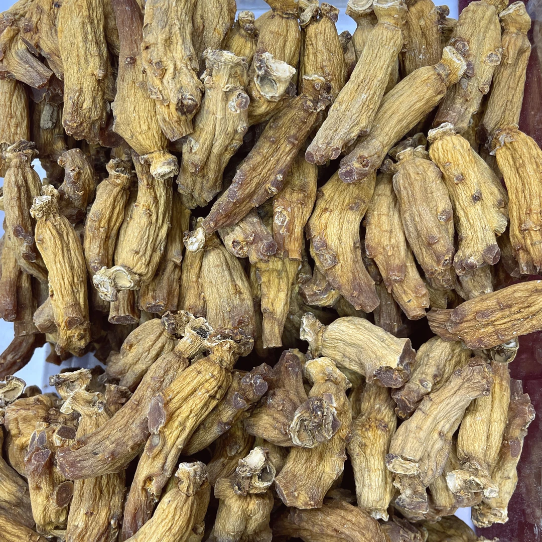 优质林下老高丽参精选纯正滋补佳品23支左右切参