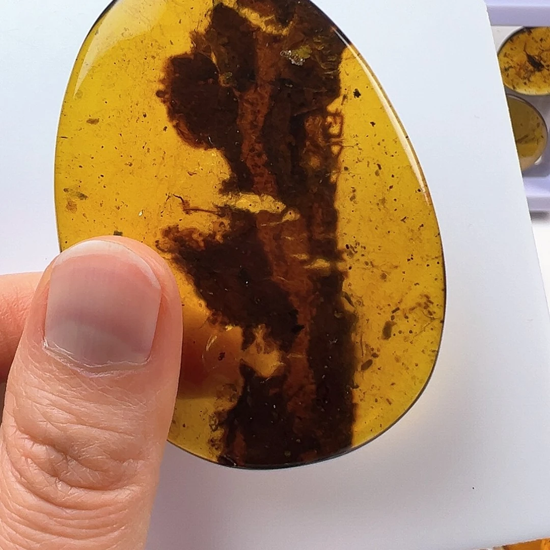 琥珀裸石未镶嵌人****真