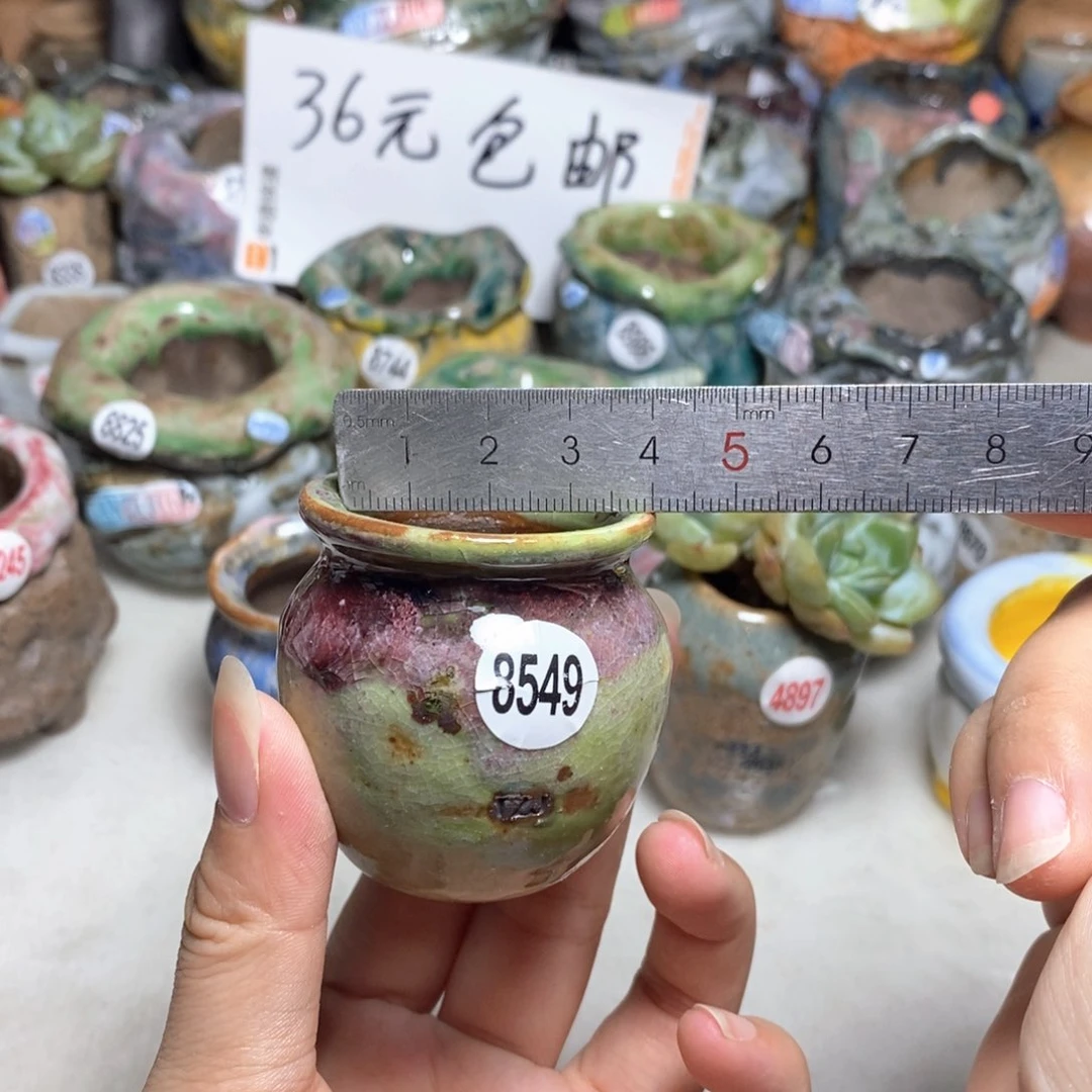 拍5送一个小礼物