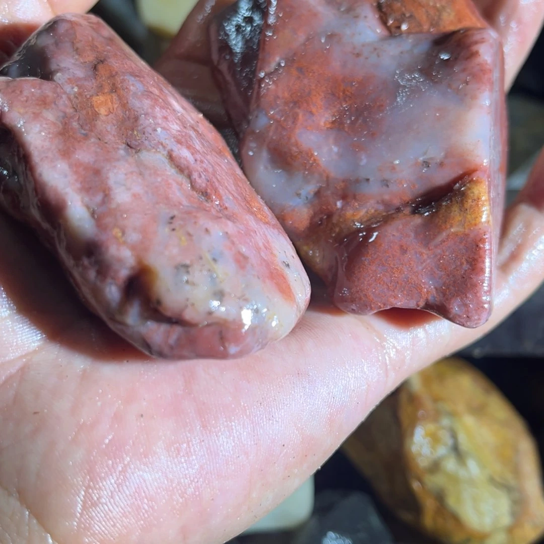 寿山石学**主8888888888888