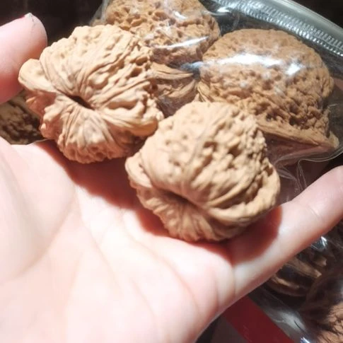 猴头核桃吊坠赵*43泥鳅背40金蟾2对