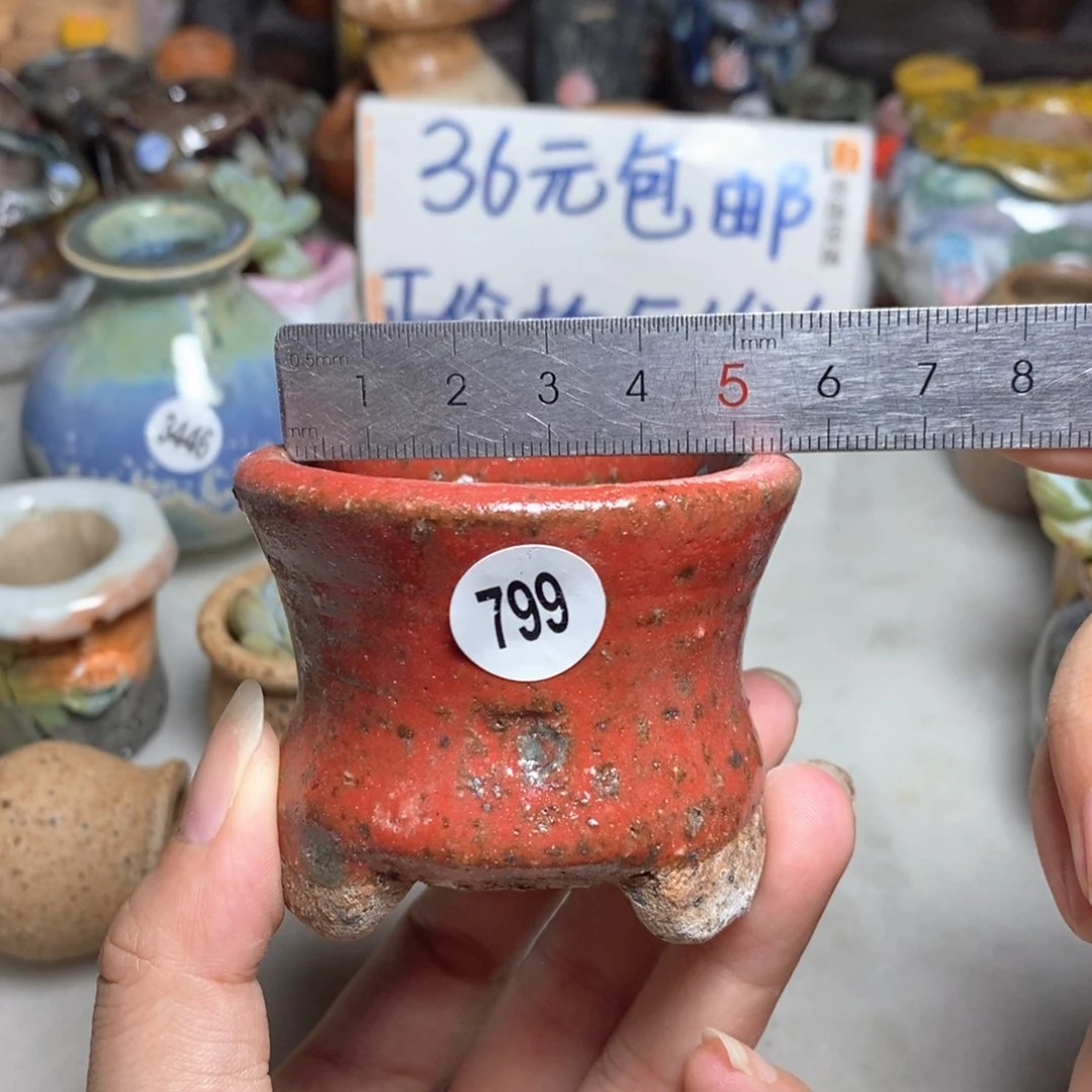 拍3送一个9.9，拍5送同款