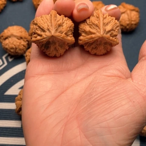 橄榄核手串/手链文山三棱33全品