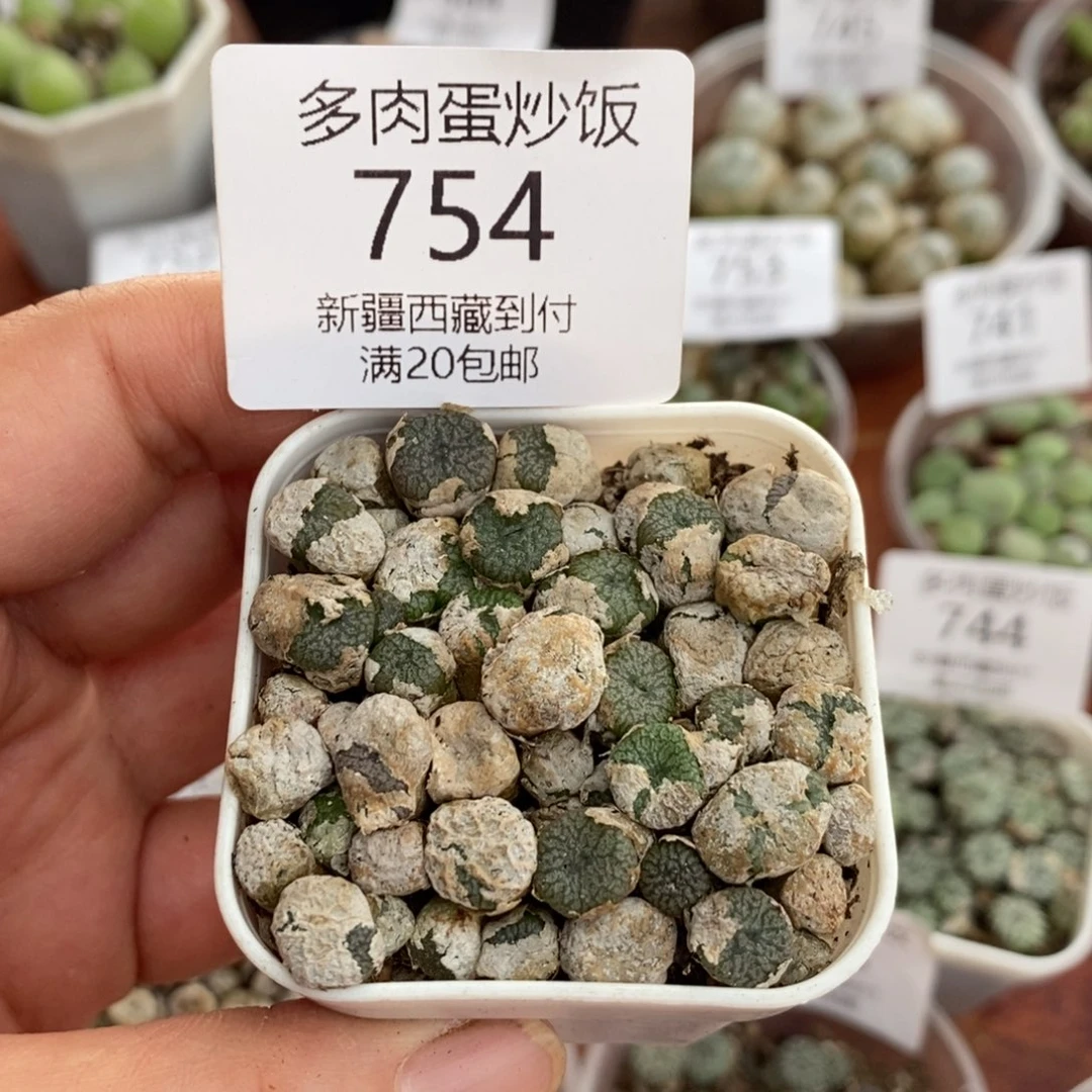 感谢您的支持，00754