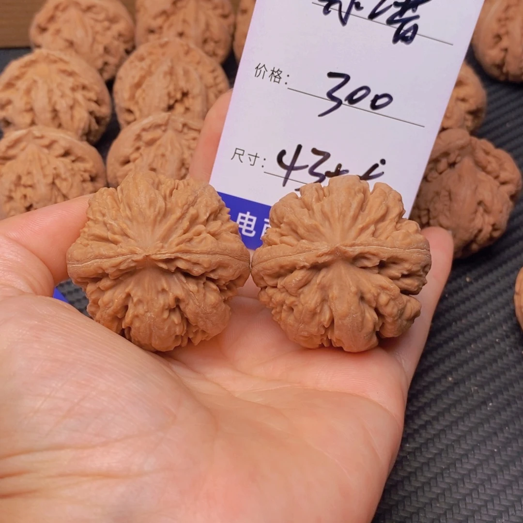 乐***谱文玩核桃霸王龙核桃
